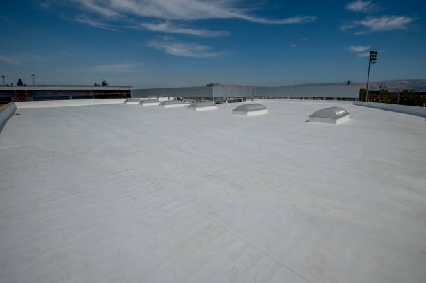 Best Roof Coating and Sealing  in Grandy, NC