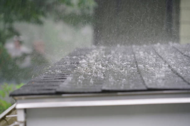 Best Roof Maintenance and Cleaning  in Grandy, NC